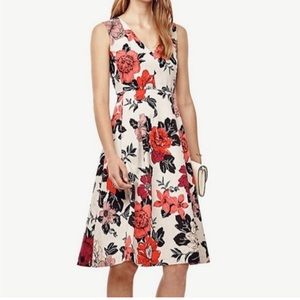 Ann Taylor - Sun drenched Floral fit and flare dress - size 8 - cream and pink